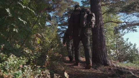 Two tourists are walking in the forest Video stock 160437339