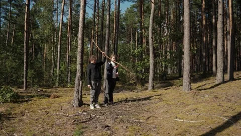 Two tourists with a branch stand in a sunlit pine clearing Stock Footage 339504776