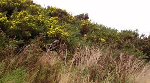 Two tourists walking down the steep track towards Tunnel Beach, Dunedin Stock-Footage 64209452