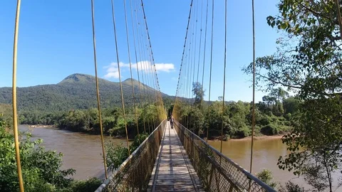Two tourists walking on a  hanging bridge in a forest on a bright morning, India Stock Footage 119313822