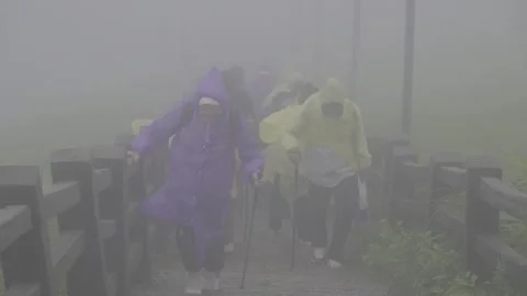 Two Tourists in Yellow Raincoats Side by Side May 8 2026 Stock-Footage 343666709