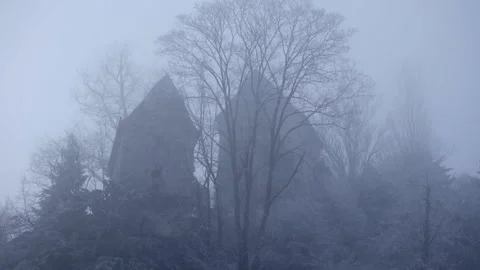 Two towers stand in the fog in the forest Stock Footage 264840896