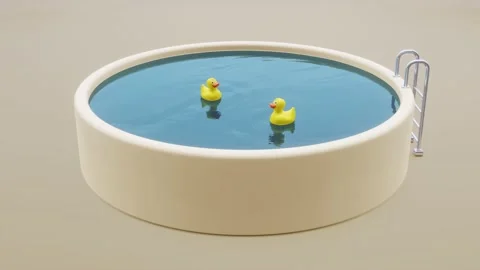 Two toy ducks swim in the pool Stock Footage 208366369