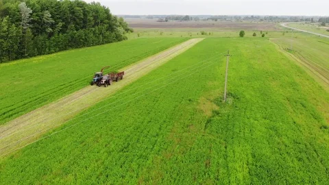 Two Tractors With Mower And Trailer Mow Clover In The Field With Power Line Stock Footage 128078039