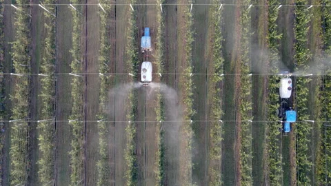 Two tractors Spraying Fruit Trees with Pesticides to Prevent from Pests Stock Footage