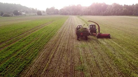 Two Tractors With Trailer And Mower Mowing Clover In The Field Stock Footage 128121429