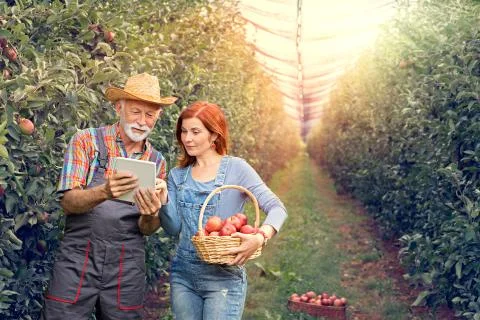 Two traditional farmer using smart technology on farm Stock Photos