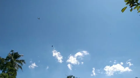 Two traditional kites flying high in a bright blue sky with white clouds du.. Stock Footage 340457845