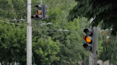 Two traffic lights on the background of trees. Stock Footage 201433765