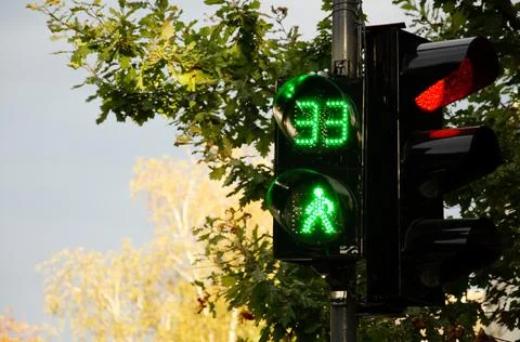 Two traffic lights with red and green timer. Countdown seconds on pedestrian. Stock Photos