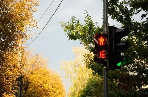 Two traffic lights with red and green timer. Countdown seconds on pedestrian. Stock Photos