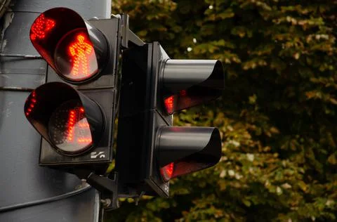 Two traffic lights with red timer. Countdown seconds on pedestrian. Stock Photos
