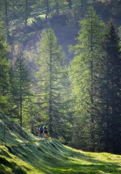 Two Trail Runners in the Forest Stock Photos