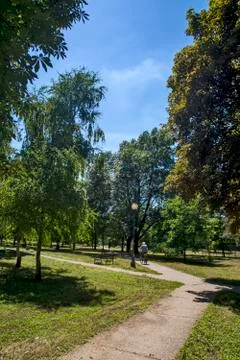 Two trails in the park Stock Photos