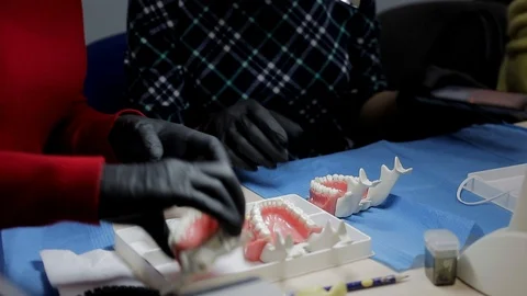 Two trainee dentists, wearing black gloves, hold mock-UPS of a man's jaw Stock Footage 123696923