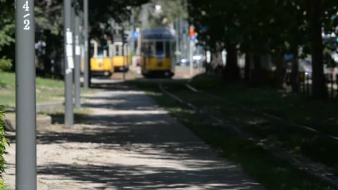 Two trams arrive in Milan Stock Footage 137154959
