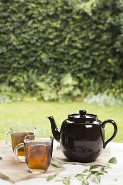 Two transparent mug herbal tea with teapot table garden Stock Photos
