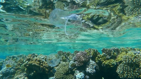 Two transparent plastic cups floats under the surface of the water next to a bea Stock Footage 142250322