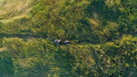 The two travelers walking along the grassy trail Stock Footage 159831353