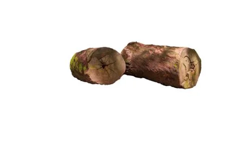 Two tree logs in white isolated background Photos