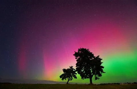 Two tree silhouettes stand in an open field beneath a vivid aurora borealis Stock Photos