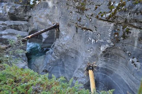 Two tree stumps, one with bark peeled off, wedged in a rock gap Stock Photos