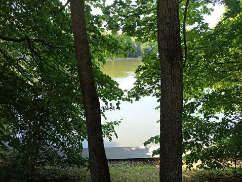 Two tree trunks between which the surface of the lake can be seen Stock Photos
