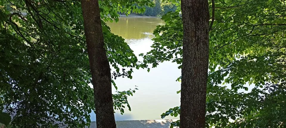 Two tree trunks between which the surface of the lake can be seen Stock Photos