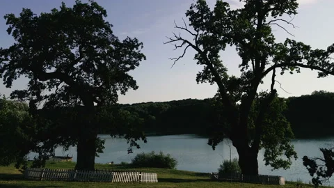Two trees on the background of the blue river Stock Footage 112317134