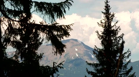 Two trees on a background of mountains Stock Footage 69009112