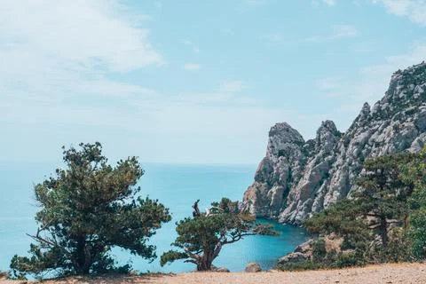 Two trees in the foreground. Stock Photos