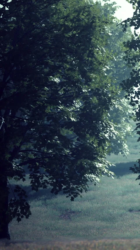 Two trees frame a green field under a bright sky Stock Footage 338424926