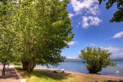 Two trees on the lake hdr Stock Photos