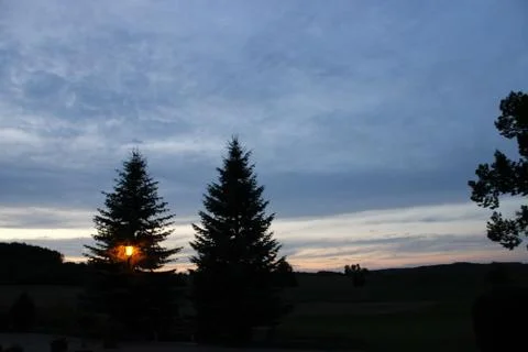 Two trees with lantern Stock Photos