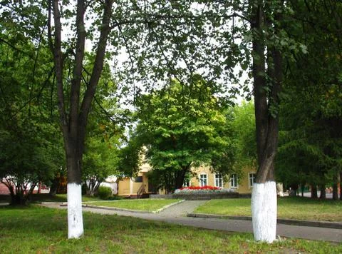 Two trees Stock Photos