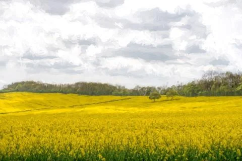 Two Trees in a Rapeseed Field Illustrazione stock
