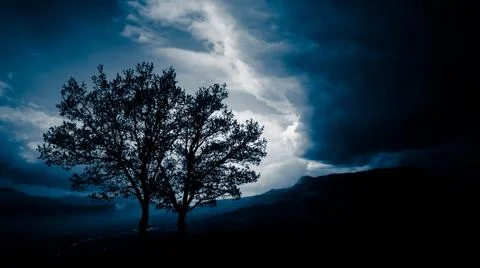Two trees before a storm Stock Photos