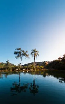 Two trees at the sunset with reflection in the water Stock Photos
