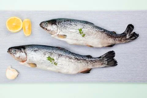 Two troats. Stock Photos