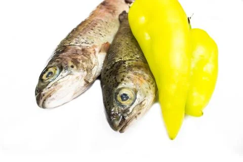 Two trout isolated on white Stock Photos
