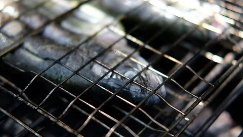Two trouts filled with lemons on a grill Stock Footage 77299253