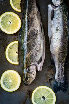 Two trouts Stock Photos