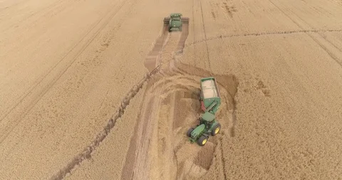 Two truks on field Stock Footage 124853079