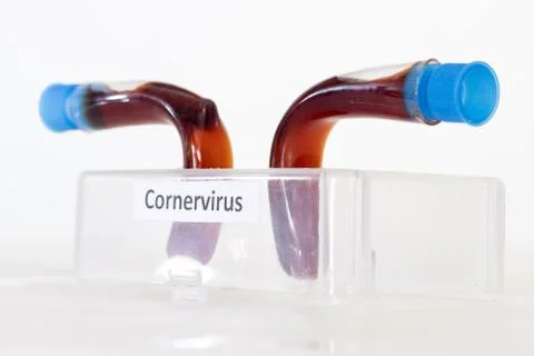 A two turned test tubes with labels of corner virus standing in rack Stock Photos