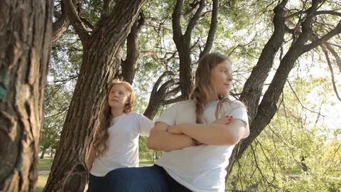 Two twin sisters are sitting on a tree in Sunny weather Stock-Footage 71790302