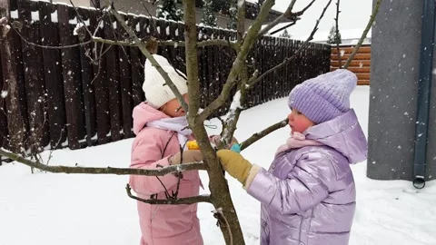 Two twin sisters playing in winter in the yard of the house near the apple tree Video stock 264508157