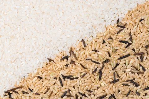 Two type of rice Stock Photos