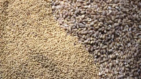 Two types of cereals on a flat surface Stock Photos