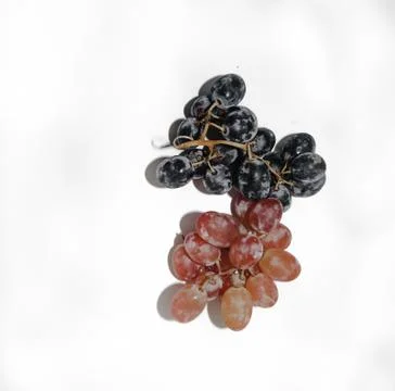 Two types of grapes on a white background with a place for tex Stock Photos