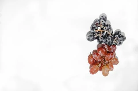 Two types of grapes on a white background with a place for tex Stock Photos